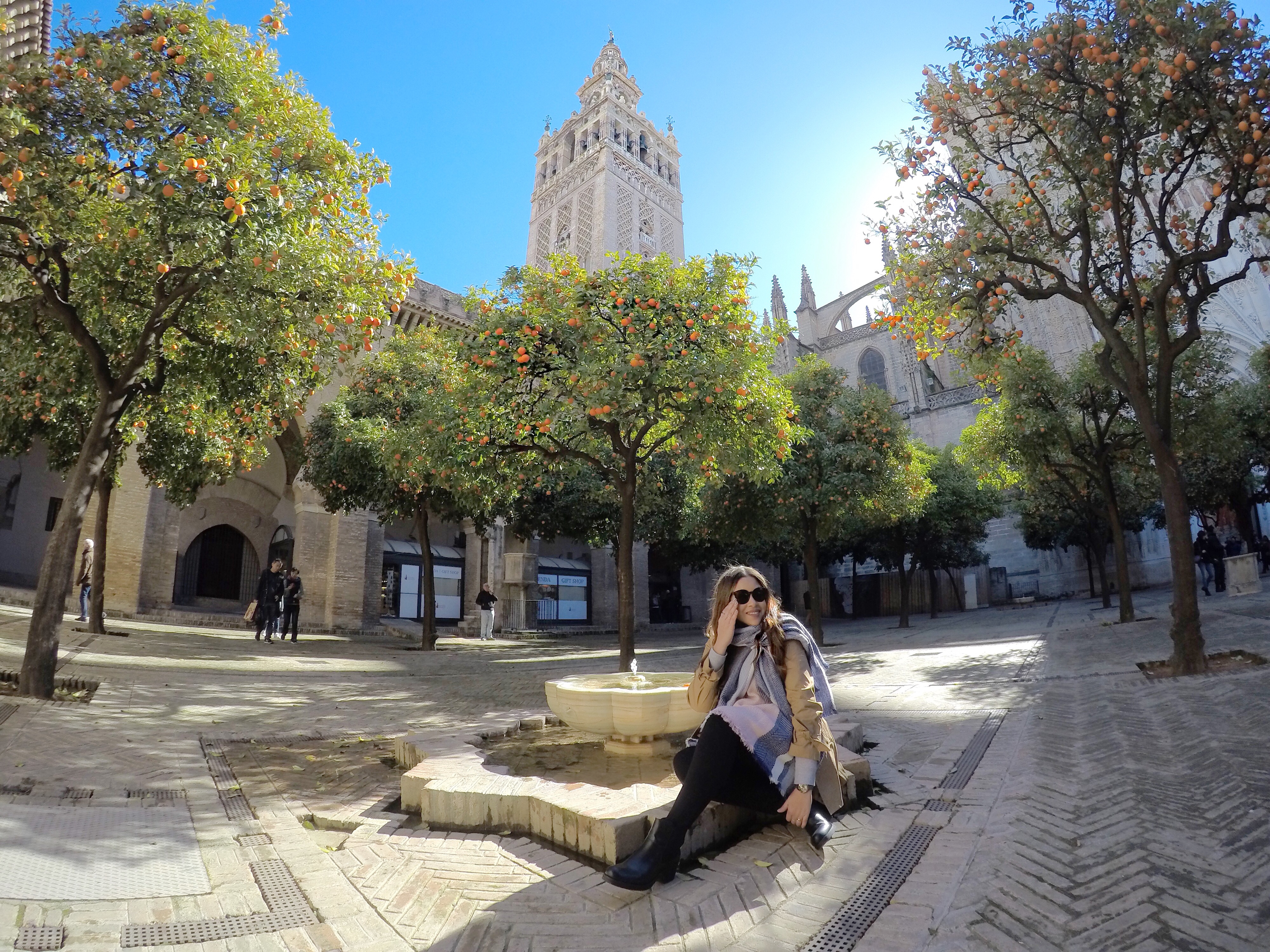 Patio de los naranjos RotaAmada